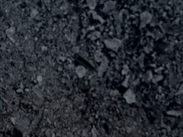 Winton帝寶系列V 塑膠地磚 塑膠地板 　2051